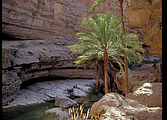Wadi Arbayeen im Oman